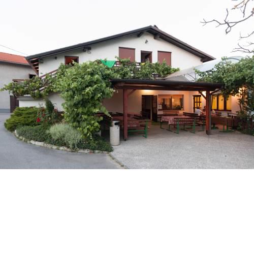 Janezinovi House