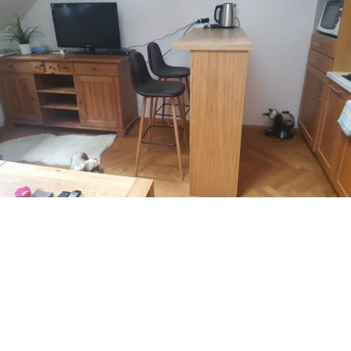 Javor Apartment