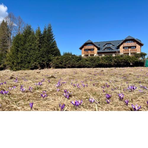 Javorinka Resort