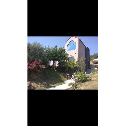 Jenny's House