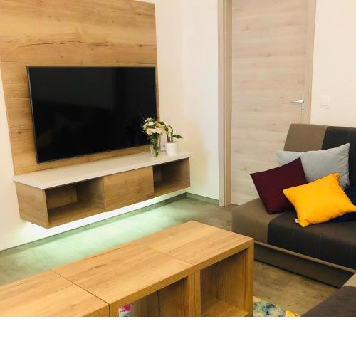 Jeseníky Apartmán číslo 5