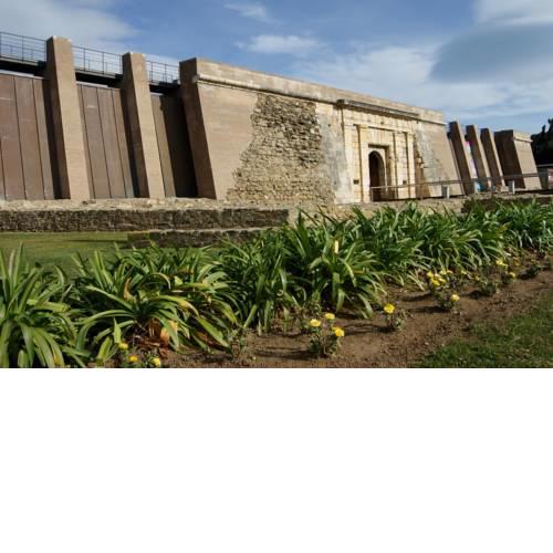 Joan Badosa Estudio
