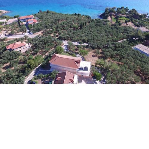 Julia Studios
