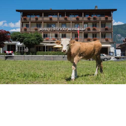 Jungfrau Hotel