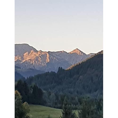 Jungholz Chalet 65