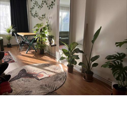 Kaan's Apartments