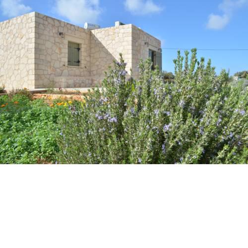 Kalypso Apartments
