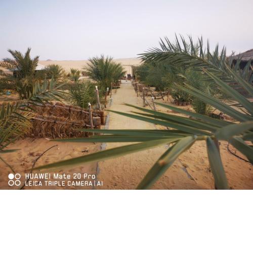 Karam Siwa Camp