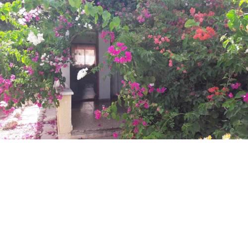 Karystos House