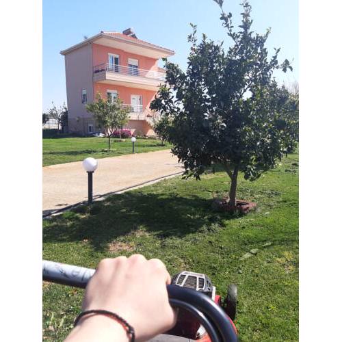 Kassianis House