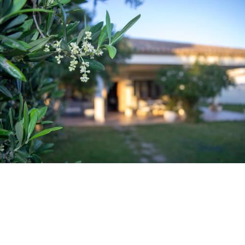 Kasua House