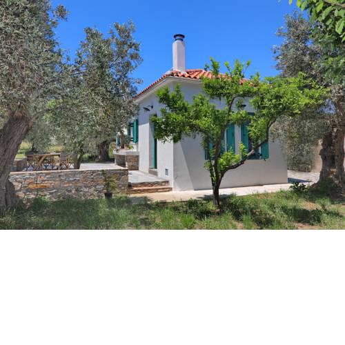 Kechriotis Estate Kampos