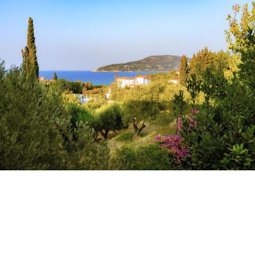 Kedros Hotel