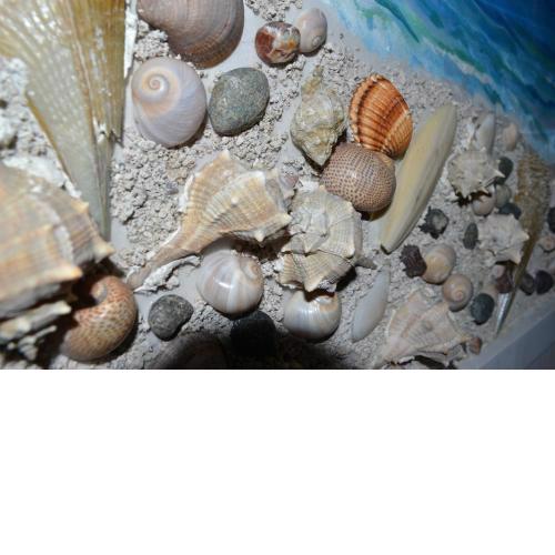 Kela's SEASHELL Art Decor Studio
