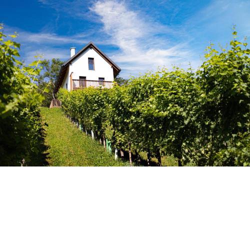 Kellerstöckel Steinbach