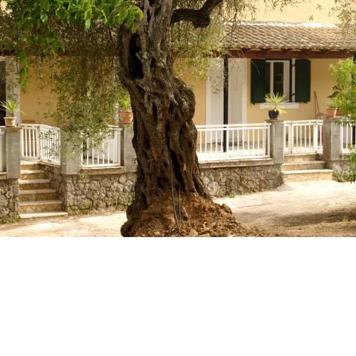 Kidonakia Apartments