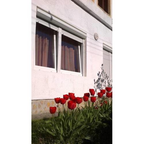 Kiera villa