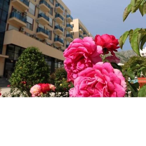 Kimza Apartments
