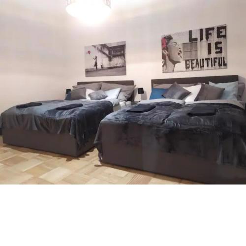 King Bed Home with Netflix, Perfect for groups of 8