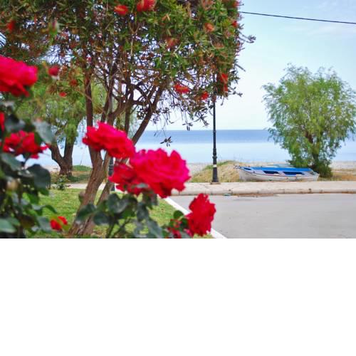 King Central Apartment Akrata