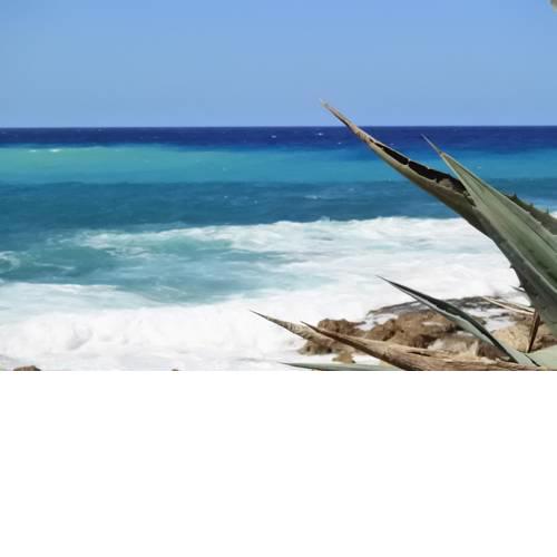 Kissonerga beach apartment
