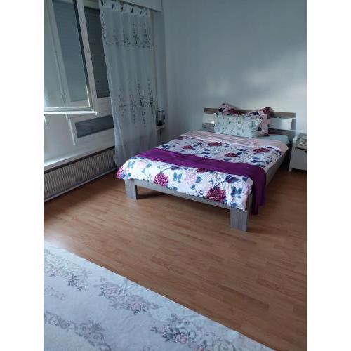 Kleine Apartment im Zentrum Bern