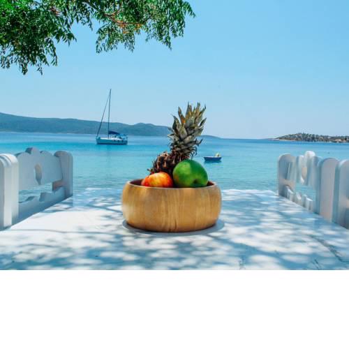 Klima Paradise