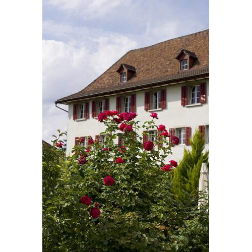 Kloster Dornach