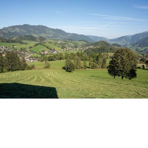 Knollgut Ferienwohnung Buchberg
