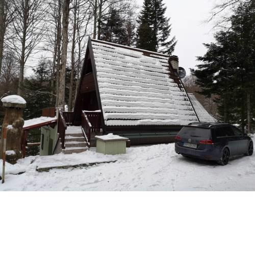 KOČA PLANIKA, SVIŠČAKI