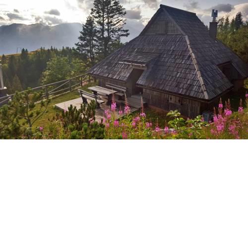 Koča Zlatorog - Velika planina