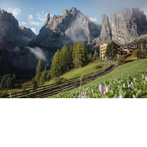 Kolfuschgerhof Mountain Resort