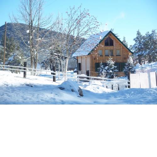 Kuca u borju - House in pines