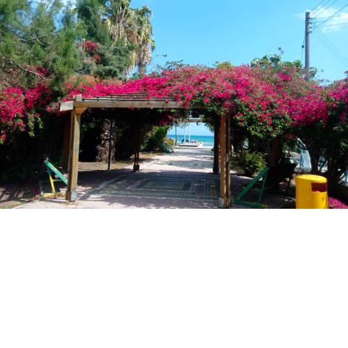 Kvartira u moria, Larnaka