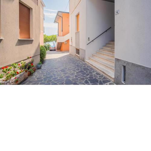 La Bella Galeazzi - Italian Homing