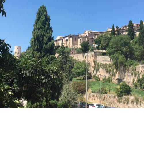 La Buona Ventura