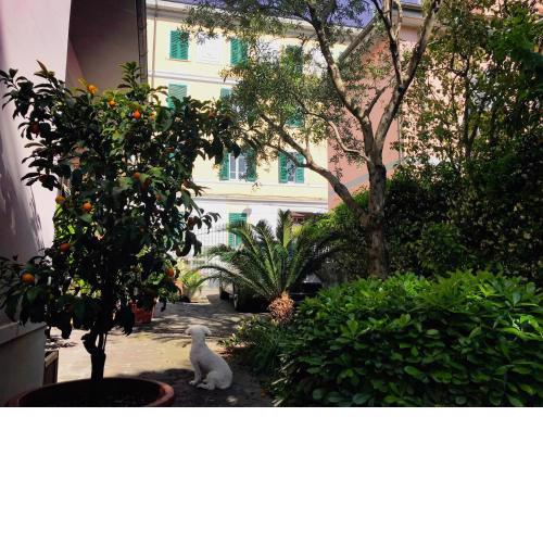 La Casa dei Fiori