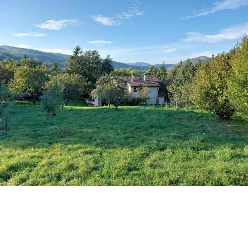 La casa dei sogni!! Con ampio giardino e bosco integrato, il posto ideale per una vacanza all'aria aperta.