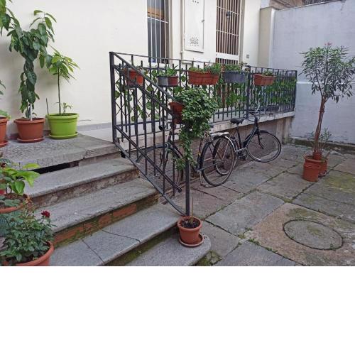 La Casa del Mondo