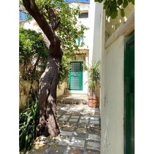 La casa dell'albicocco