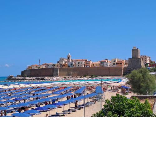 La casa delle farfalle
