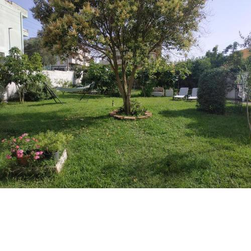 La casa delle Meraviglie