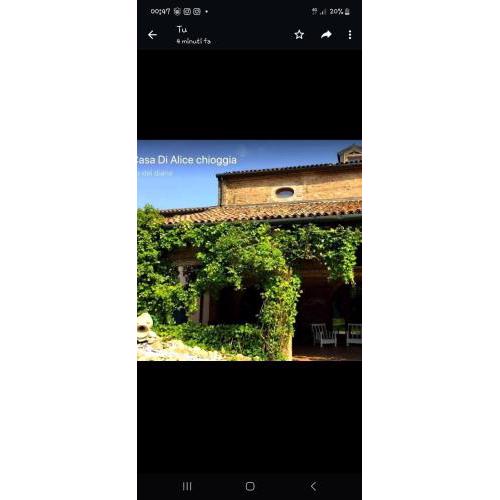 La casa di alice