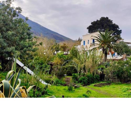 La Casa di Nonna Ida