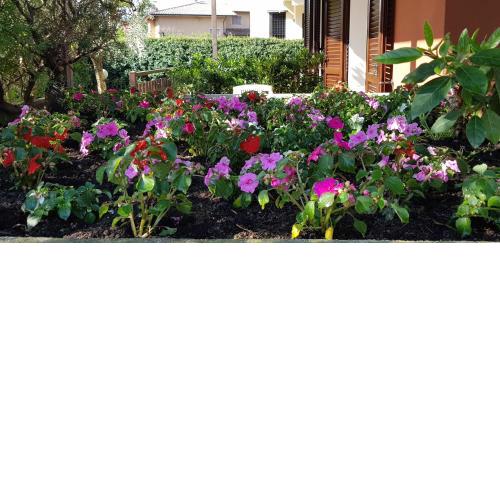 La casa di Rivo