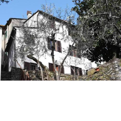 La casa di Serena