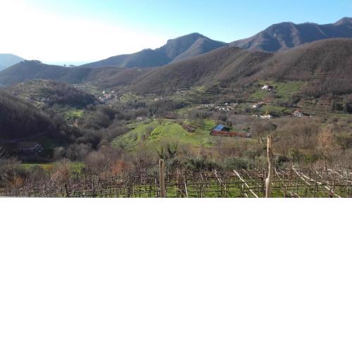 La Casa in Vigna