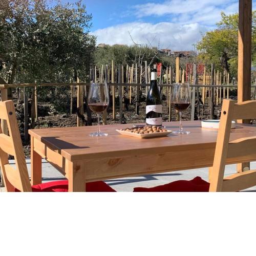 La casa nel vigneto di Tenuta Bastonaca