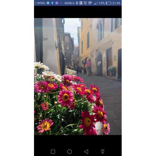 LA CASA SULLA PIAZZETTA