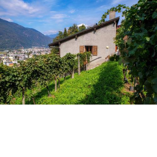 La Casa tra le Vigne Giubiasco